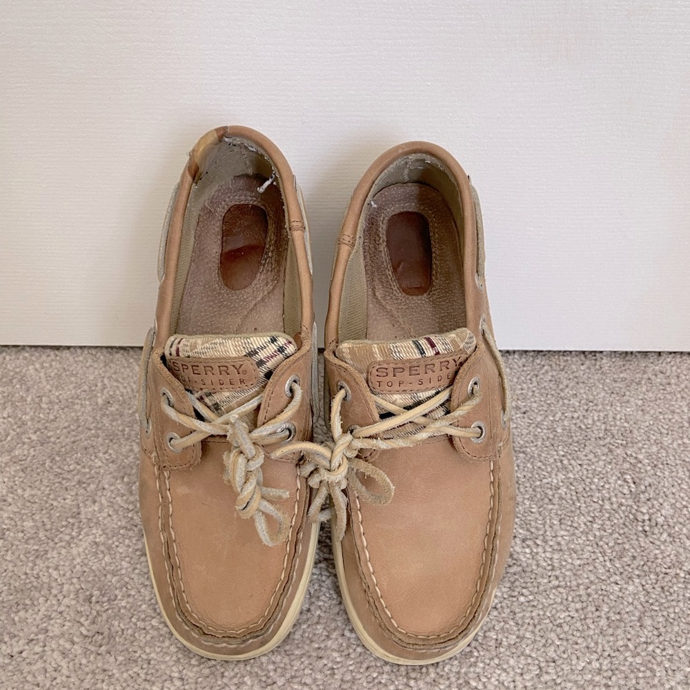 Speedy Size 6M